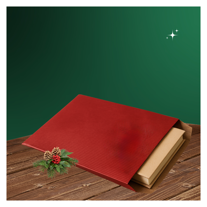Pochette cadeau rouge pour une présentation rapide et élégante de vos cadeaux ! Pochette cadeau rouge pour une présentation rapide et élégante de vos cadeaux !