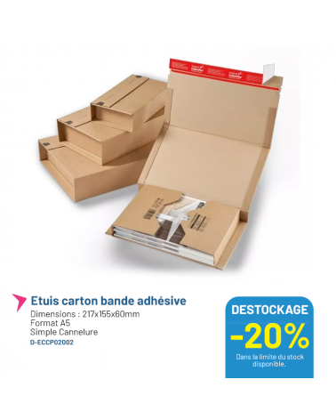 Etuis carton avec bande adhésive - 217x155x60mm