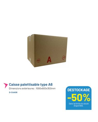 Caisse carton palettisable type A6 - 1000x600x300mm - Lot de 20