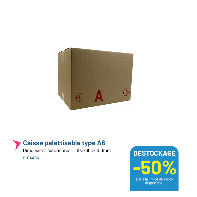 Caisse carton palettisable type A6 - 1000x600x300mm - Lot de 20